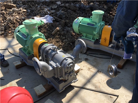 羅德乙醇卸車轉(zhuǎn)子泵安裝準備工作 羅德乙醇卸車轉(zhuǎn)子泵安裝準備工作