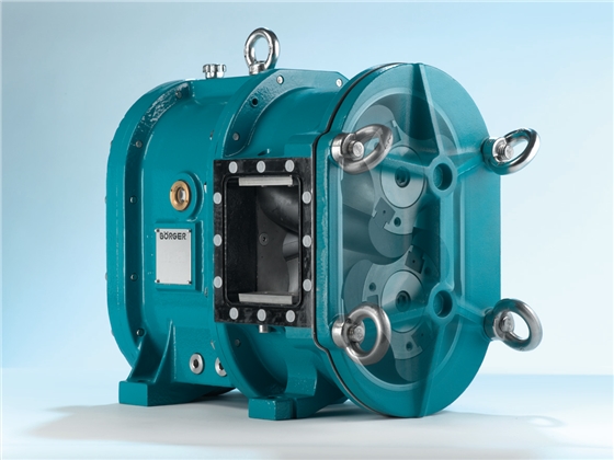 凸輪轉子泵 凸輪轉子泵