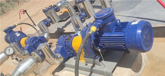 轉(zhuǎn)子泵 轉(zhuǎn)子泵