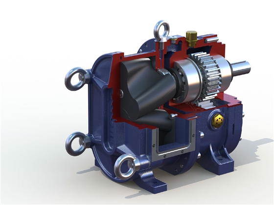 轉(zhuǎn)子泵 轉(zhuǎn)子泵