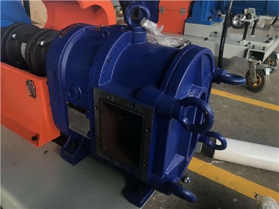 無阻塞轉(zhuǎn)子泵 無阻塞轉(zhuǎn)子泵