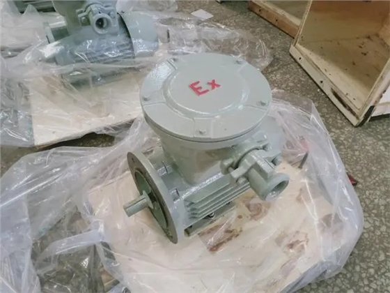 防爆電機(jī)