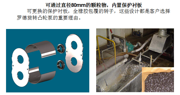 凸輪轉(zhuǎn)子泵 凸輪轉(zhuǎn)子泵