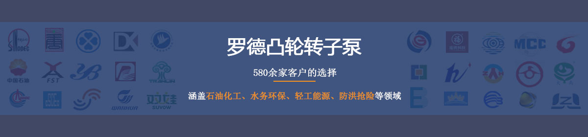 羅德凸輪轉(zhuǎn)子泵--德國(guó)品質(zhì)，中國(guó)價(jià)格