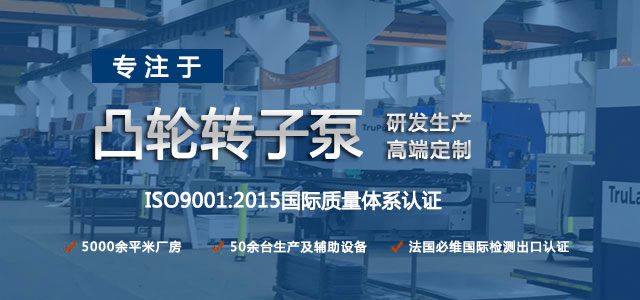 凸輪轉(zhuǎn)子泵生產(chǎn)廠家，專注于凸輪轉(zhuǎn)子泵的研發(fā)生產(chǎn)，高端定制